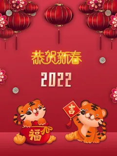 设计2022年新年虎年