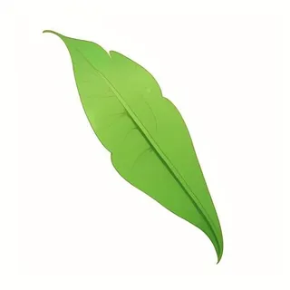 一片绿色叶子png免抠