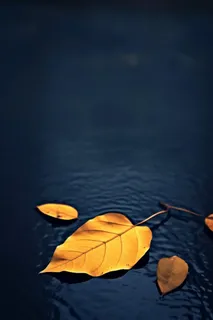 蓝色大气秋叶简约背景