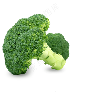 蔬菜免扣png素材