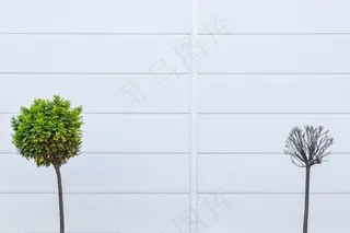 淡雅幻灯片背景图片