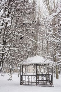 寒冷冬天雪景摄影