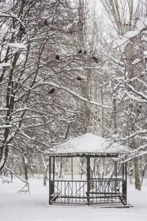 寒冷冬天雪景摄影