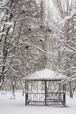 寒冷冬天雪景摄影