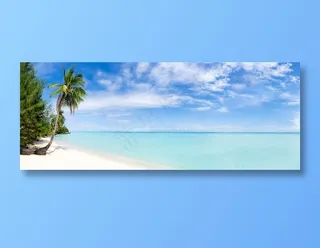 美丽的沙滩椰子树景色图片