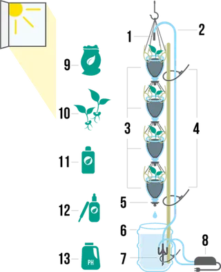 工具种植流程现代农业