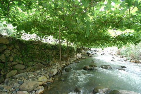 溪边风景素材图片下载