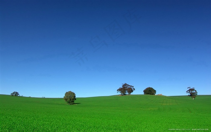 蓝天草地大树风景画