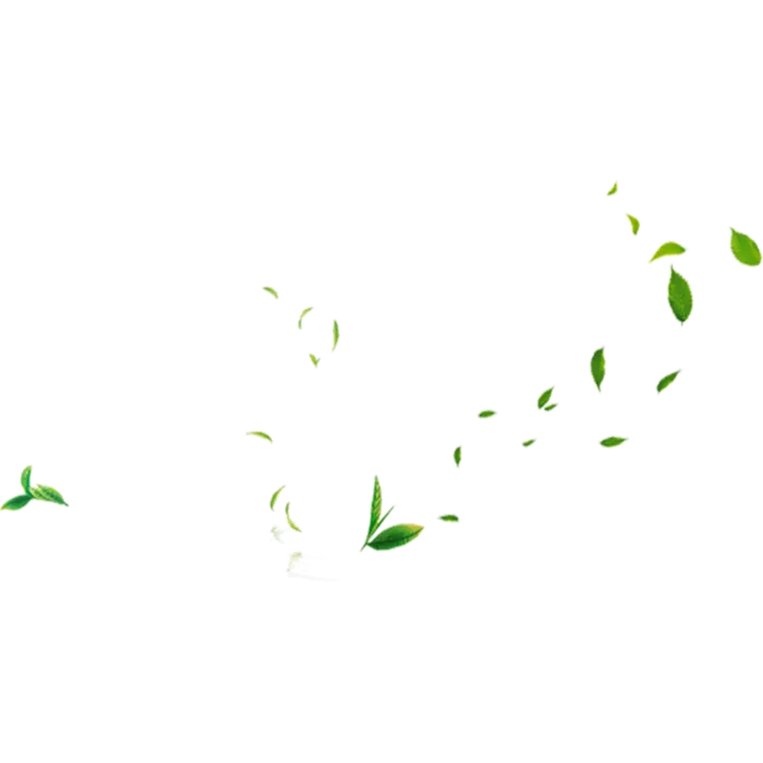 春茶上市茶叶免扣元素
