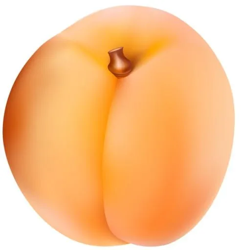 大图像杏PNG免抠(578x600)