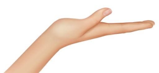 手 PNG免抠(600x278)