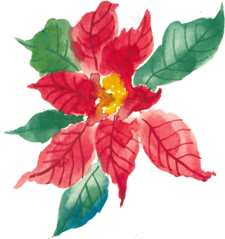 冬季圣诞节花卉果花圈植物免抠海报PNG素材