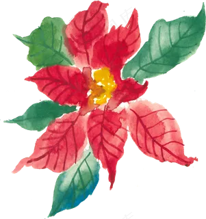 冬季圣诞节花卉果花圈植物免抠海报PNG素材 冬季圣诞节花卉果花圈植物免抠海报PNG素材