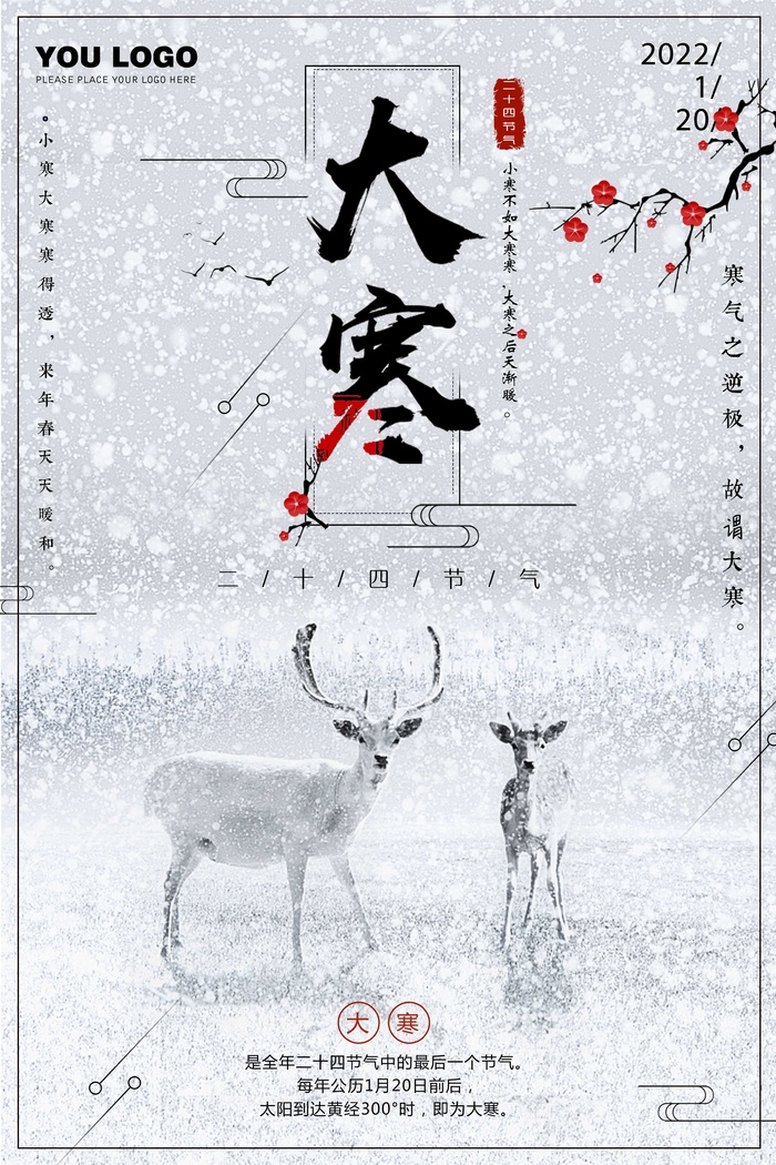 中国风 二十四节气之大寒创意海报