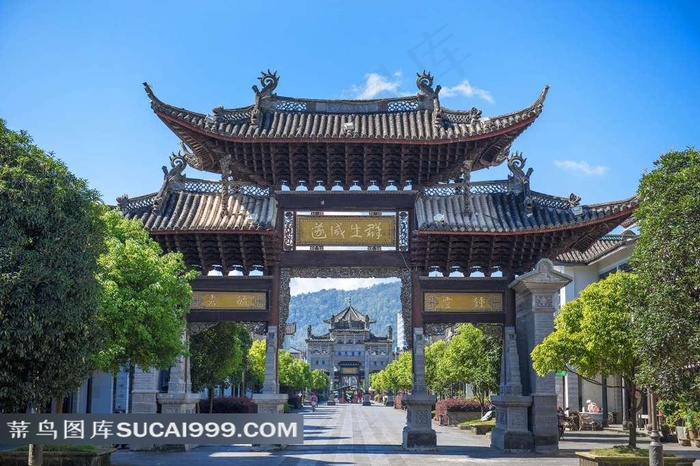 气派的牌楼与树