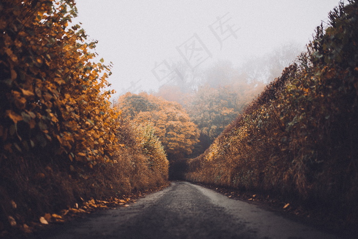 风景素材图片
