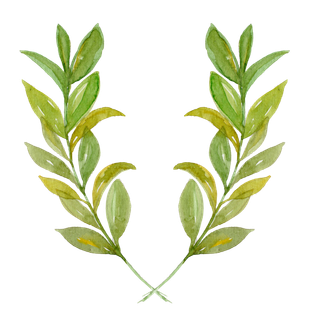 唯美森系手绘水彩花朵 免抠