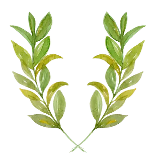 唯美森系手绘水彩花朵 免抠