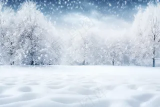 冬天大雪雪花雾凇摄影图