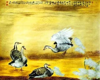 鸭子工笔画图片