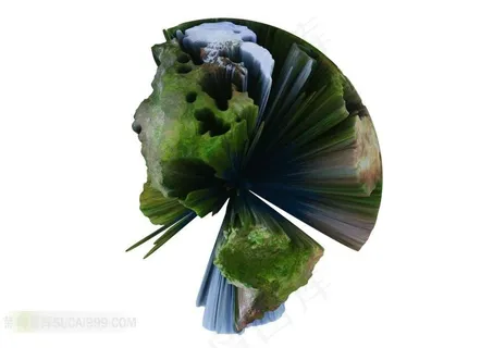 3D创意书籍地球素材