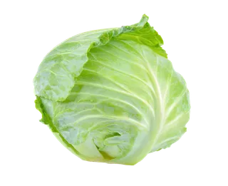 包菜 (16)超市商品白底图免抠实物摄影png格式图片透明底