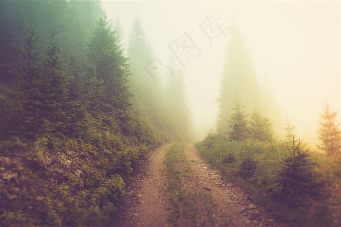 晨雾山涧小路风景画