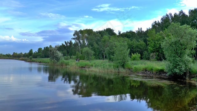 自然, 夏天, 西伯利亚, 湖, 河, 一天, 天空
