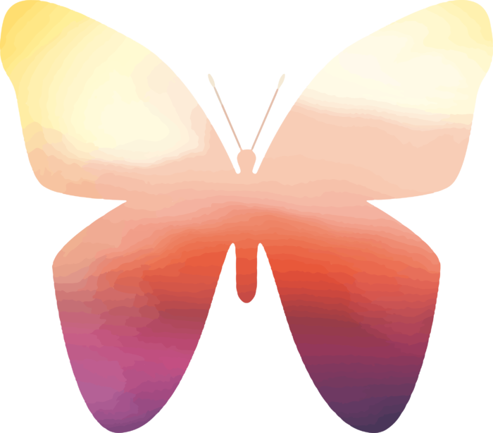 卡通动画动画蝴蝶免扣PNG手绘插画图片素材 (117)