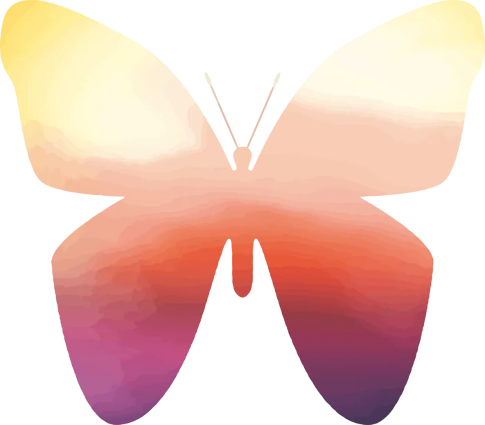 卡通动画动画蝴蝶免扣PNG手绘插画图片素材 (117)