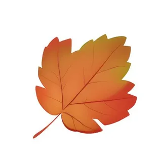 叶子树叶枫叶免抠