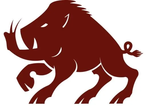 野猪 PNG免抠(681x500)