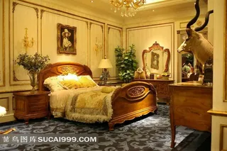 欧式家具-塞特维那皇室家具