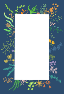 手绘植物花卉边框背景