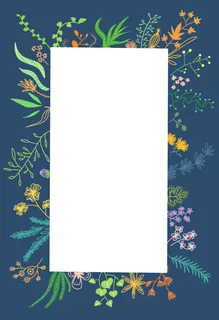 手绘植物花卉边框背景 手绘植物花卉边框背景