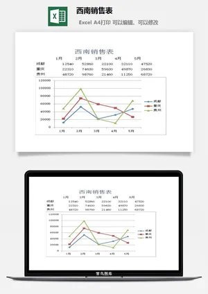 西南销售表excel模板预览图