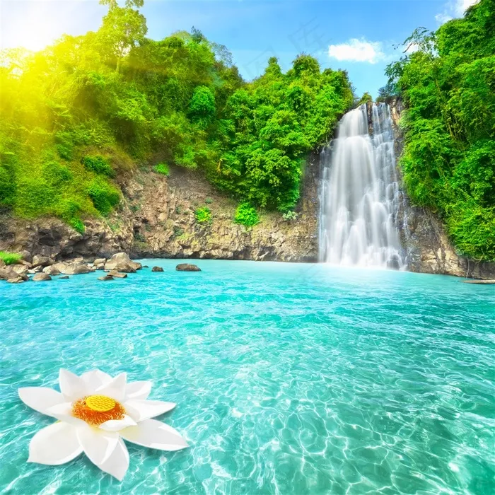 碧湖荷花瀑布风景图片