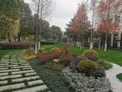 花镜-秋天的颜色2