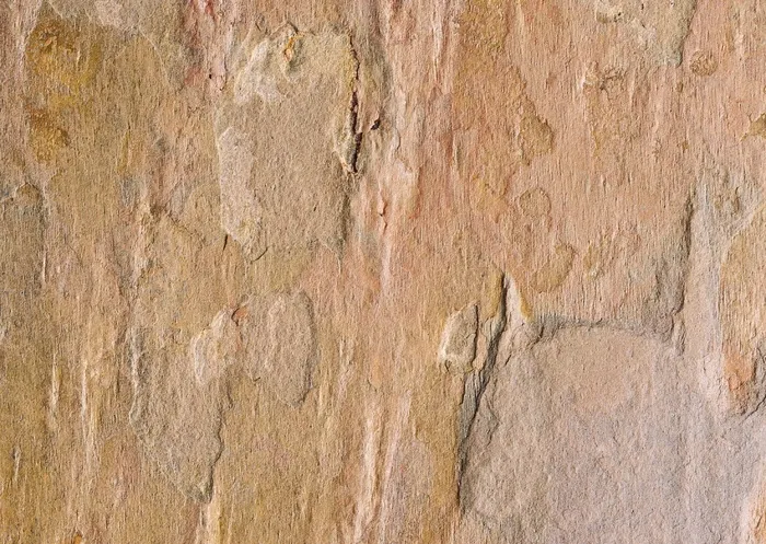 底纹 129