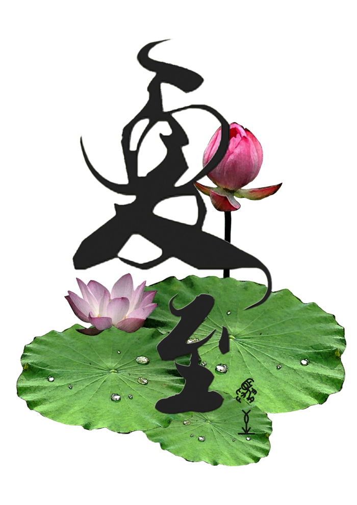 荷叶荷花夏至免抠艺术字