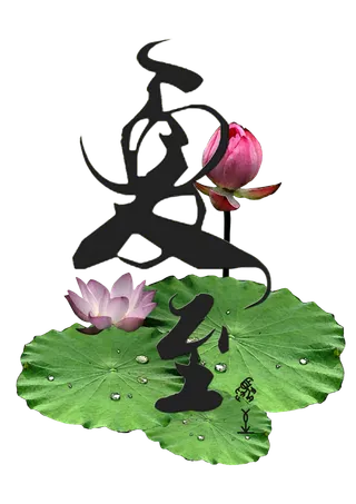 荷叶荷花夏至免抠艺术字