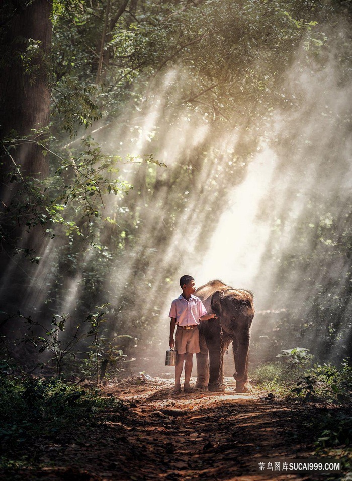 小男孩和小象泰国田园生活