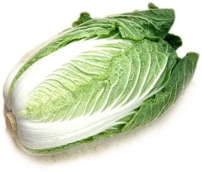 卷心菜 PNG免抠(396x337)
