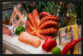 海鲜 鱿鱼 八爪鱼