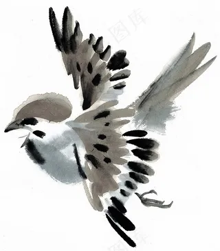 鸟禽艺术绘画jpg素材