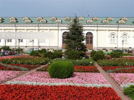 公园里的植物 公园里的植物