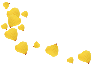 花瓣 免抠 漂浮 花瓣元素