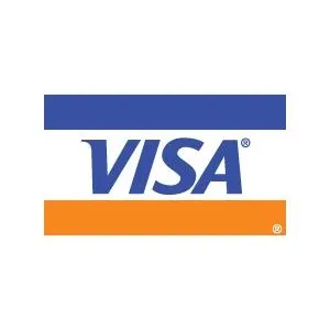 签证图标 PNG免抠(300x300)