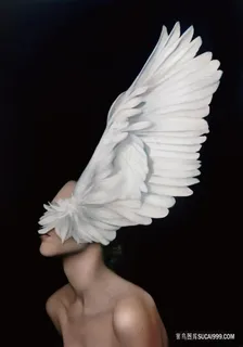 唯美带翅膀美女装饰画 唯美带翅膀美女装饰画