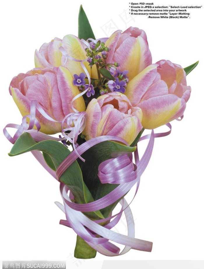 花艺花束-一束紫色的郁金香